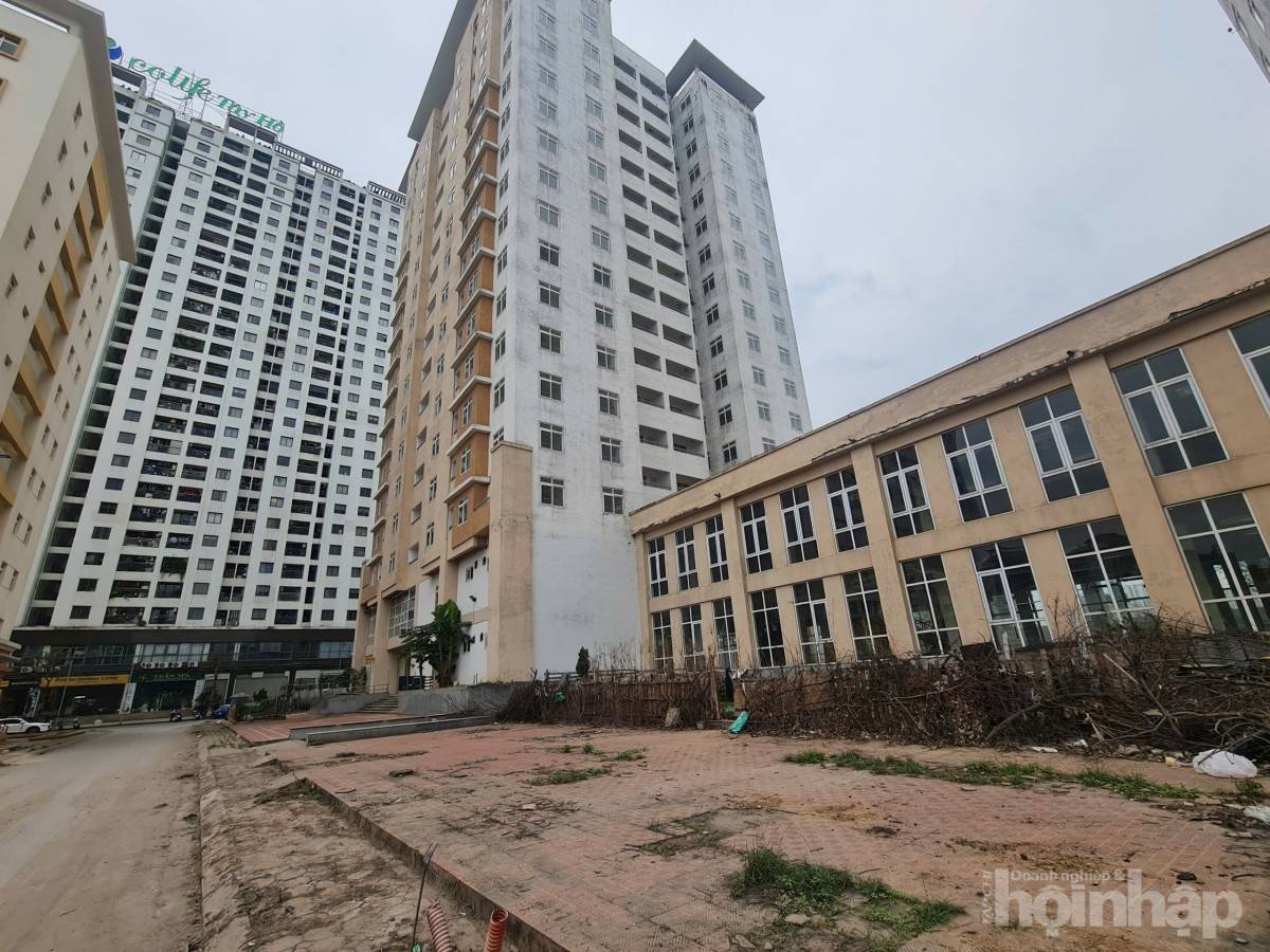 Bài II: Hàng trăm căn hộ tái định cư thuộc Khu tái định cư Xuân La bỏ hoang lâu năm