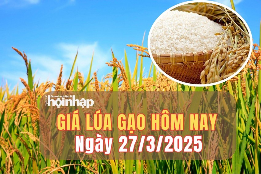Giá lúa gạo hôm nay 27/3/2025: Giá gạo duy trì ổn định, giá lúa tăng nhẹ 100 đồng/kg 