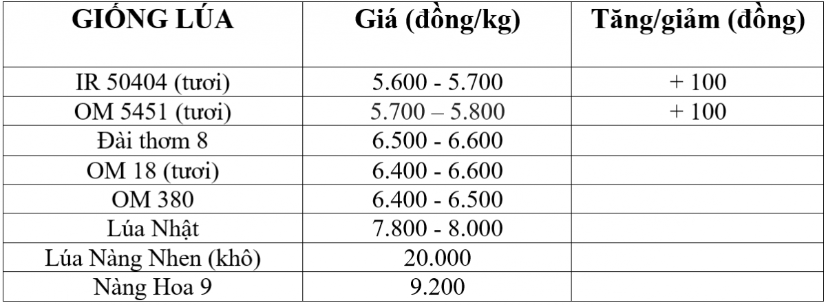 Bảng giá lúa hôm nay 27/3/2025.