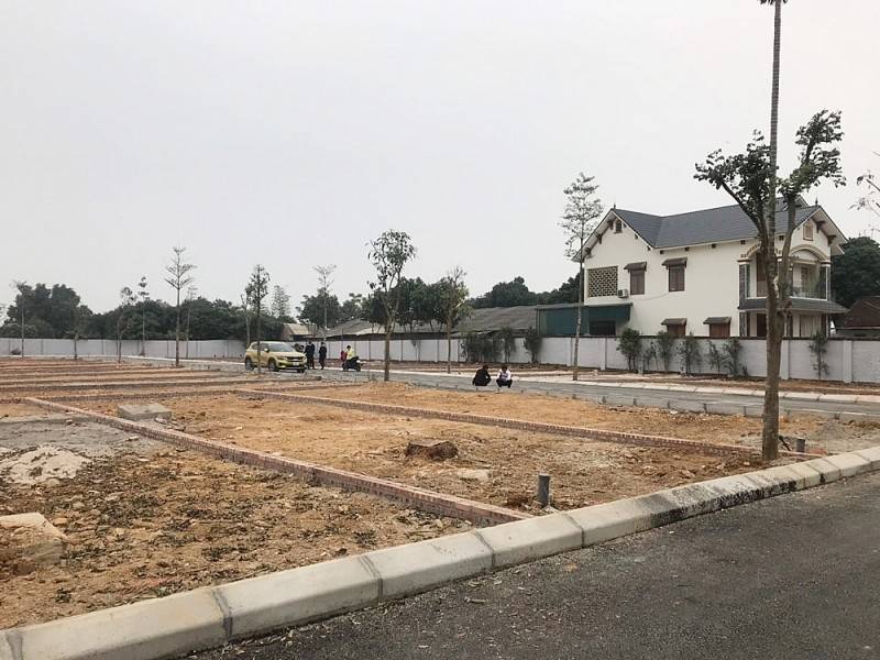 Bất động sản quý 1/2025: Cơ hội và rủi ro từ giá đất tăng nóng