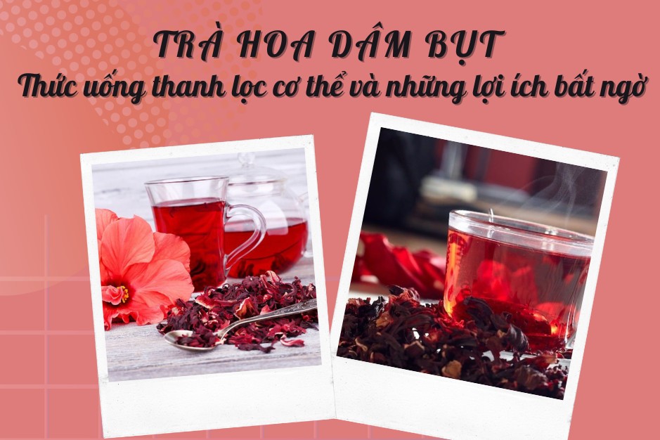 Trà hoa dâm bụt: Thức uống thanh lọc cơ thể và những lợi ích bất ngờ