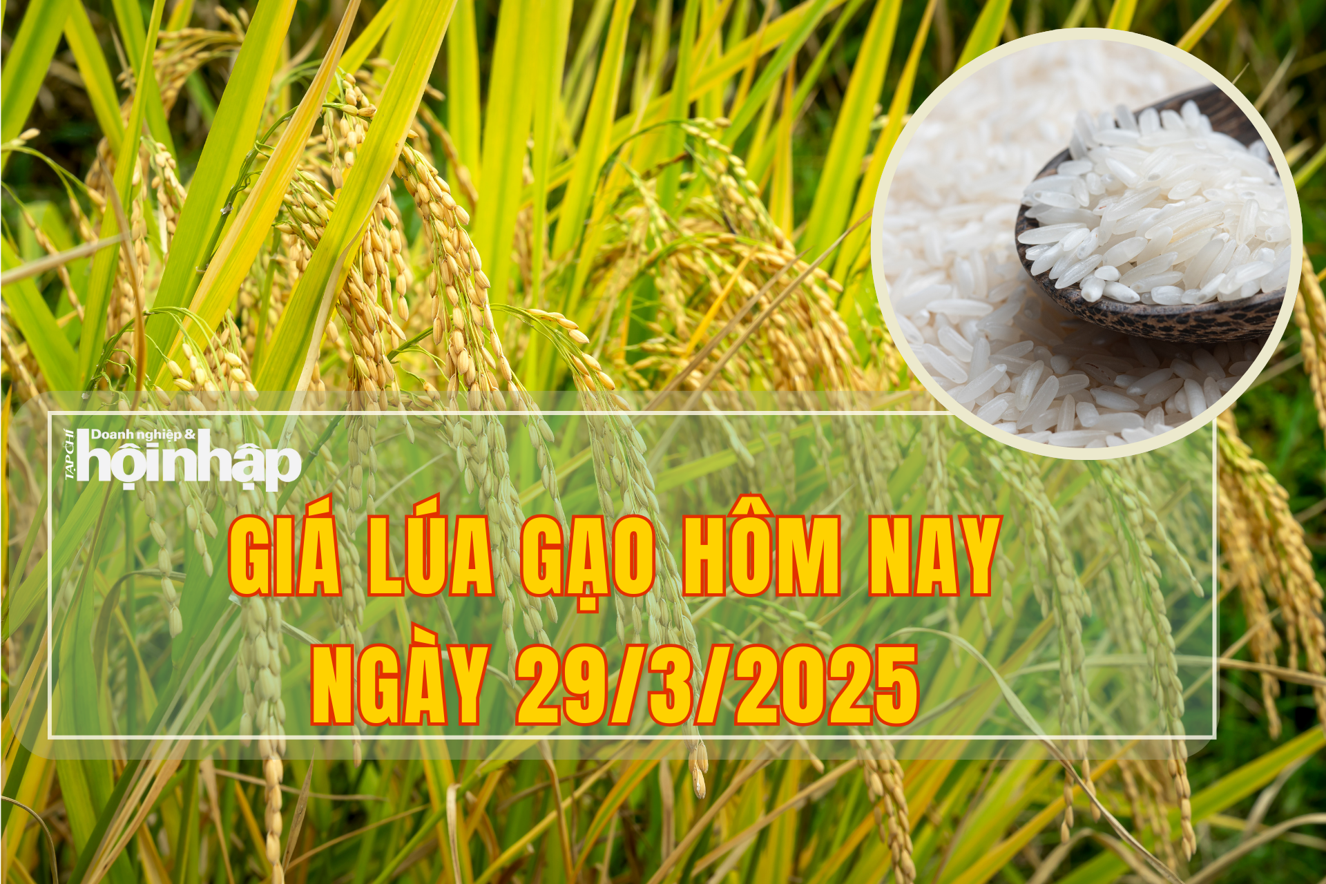 Giá lúa gạo hôm nay 29/3/2025: Thị trường trong nước đi ngang, thị trường xuất khẩu tăng giá