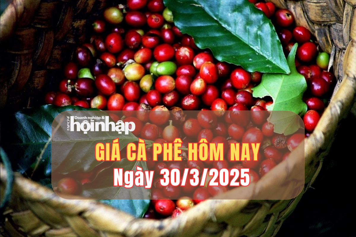 Giá cà phê hôm nay 30/3/2025: Giá cà phê trong nước và thế giới tiếp đà giảm mạnh