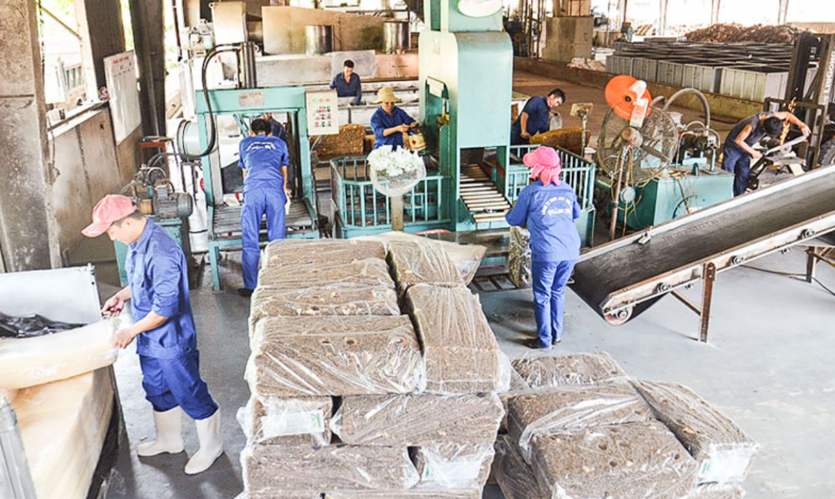 Quảng Trị đối mặt nhiều thách thức trong phát triển các cụm công nghiệp tại huyện Vĩnh Linh