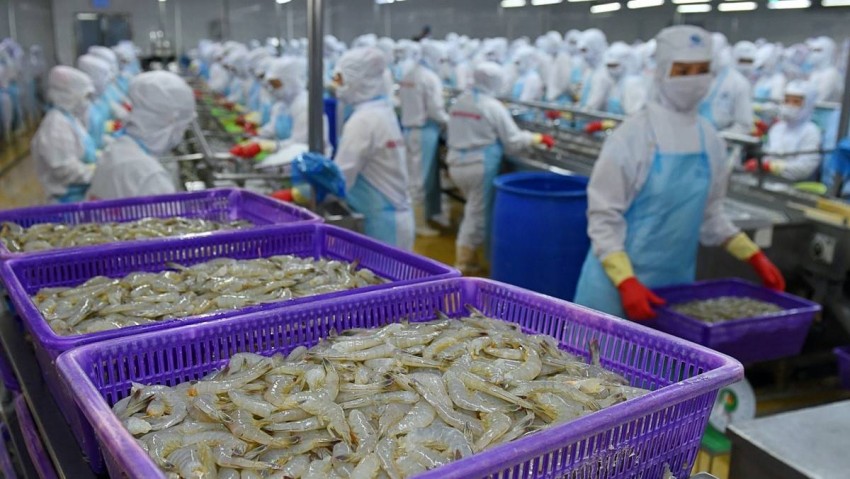 Thực phẩm Sao Ta hạ mục tiêu lãi trước thuế 422 tỷ đồng so với năm trước