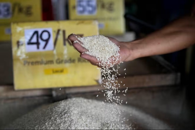 Nhập khẩu gạo của Philippines giảm mạnh trong quý I