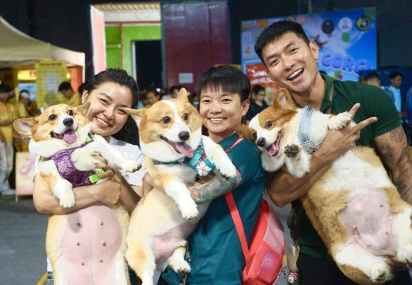 Ngành công nghiệp thú cưng: Thị trường tỷ đô đang chờ đón Ngành công nghiệp thú cưng: Thị trường tỷ đô đang chờ đón