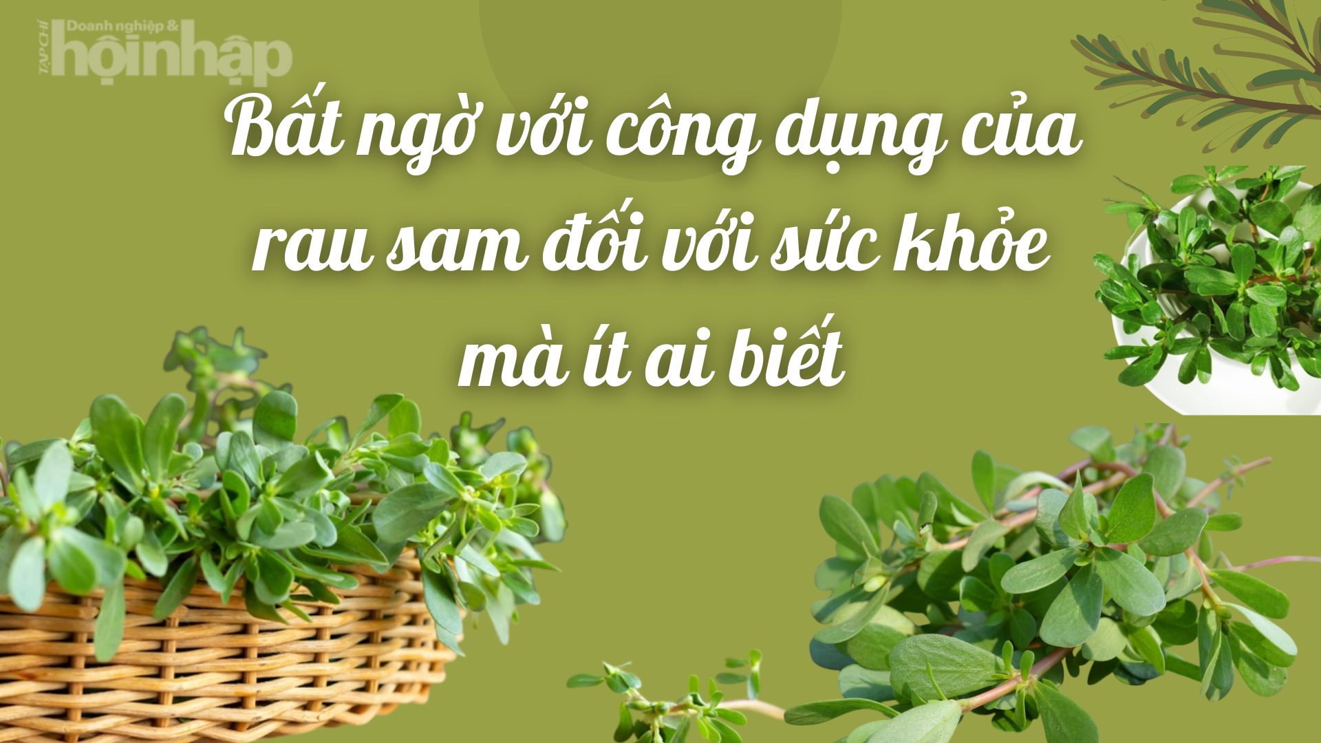 Bất ngờ với công dụng của rau sam đối với sức khỏe mà ít ai biết