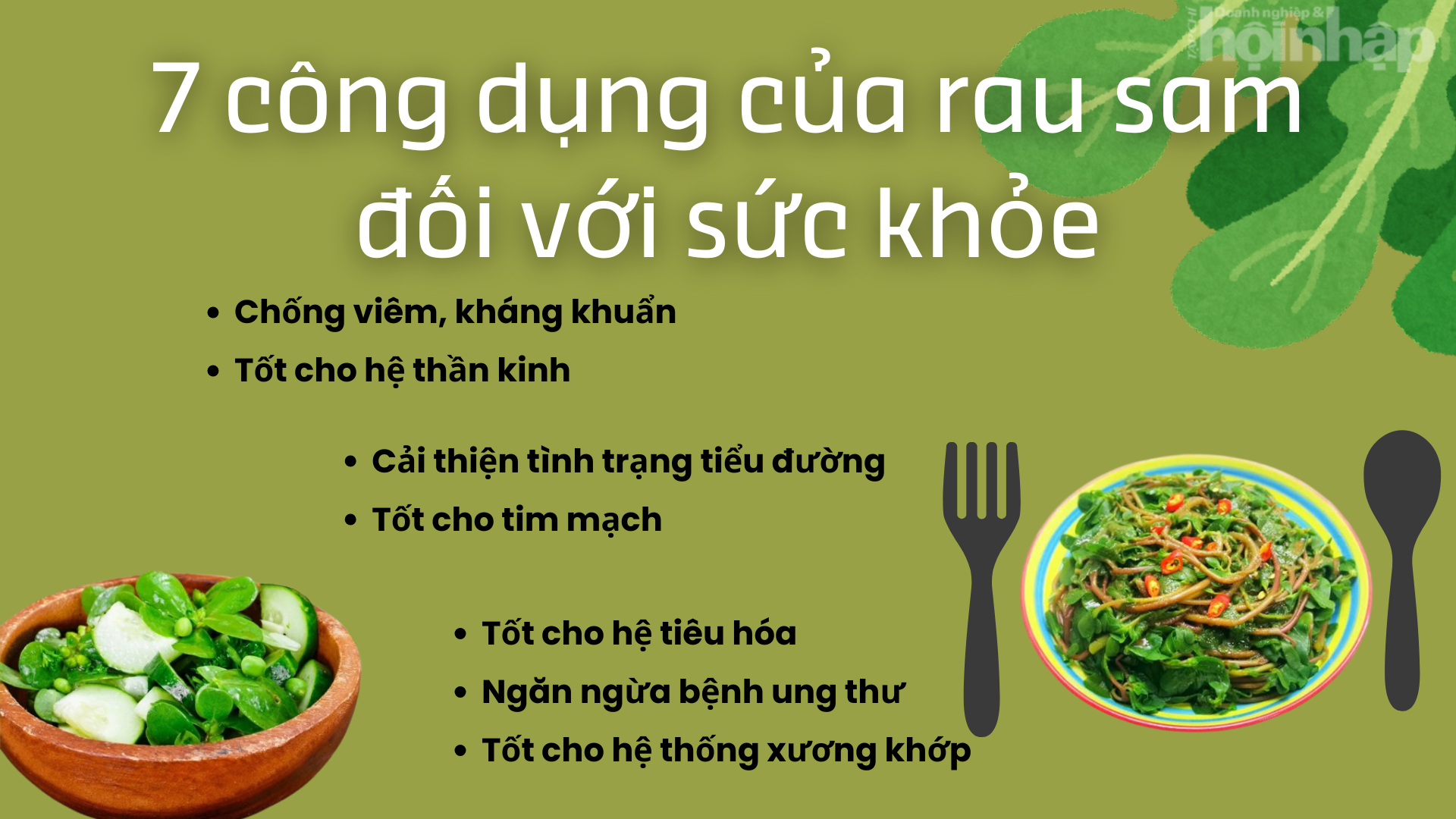 Bất ngờ với công dụng của rau sam đối với sức khỏe mà ít ai biết