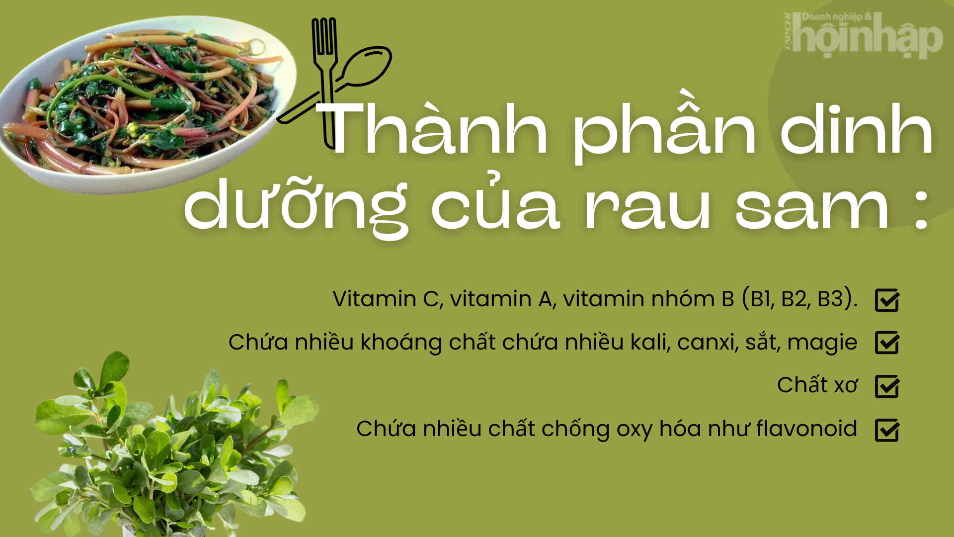 Bất ngờ với công dụng của rau sam đối với sức khỏe mà ít ai biết