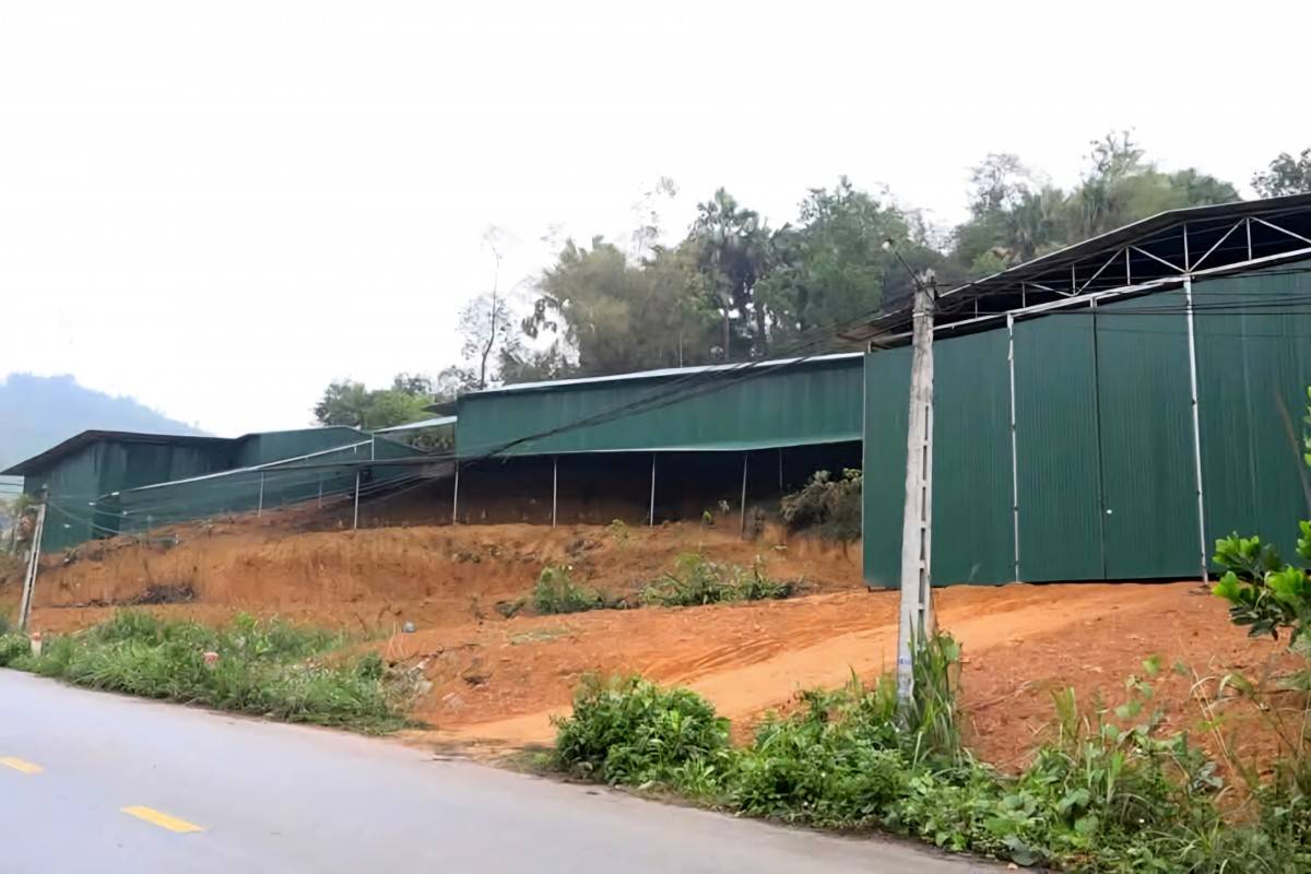 Phú Thọ: Kiên quyết xử lý hành vi trục lợi bồi thường dự án đường dây 500kV