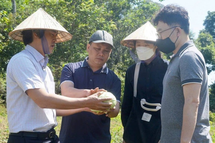 Ông Nguyễn Đình Tâm, Giám đốc HTX Tâm Hương (thứ 2 từ trái sang) kết nối với doanh nghiệp Hàn Quốc Tuyên Quang: Liên kết sản xuất theo chuỗi góp phần nâng cao hiệu quả kinh doanh
