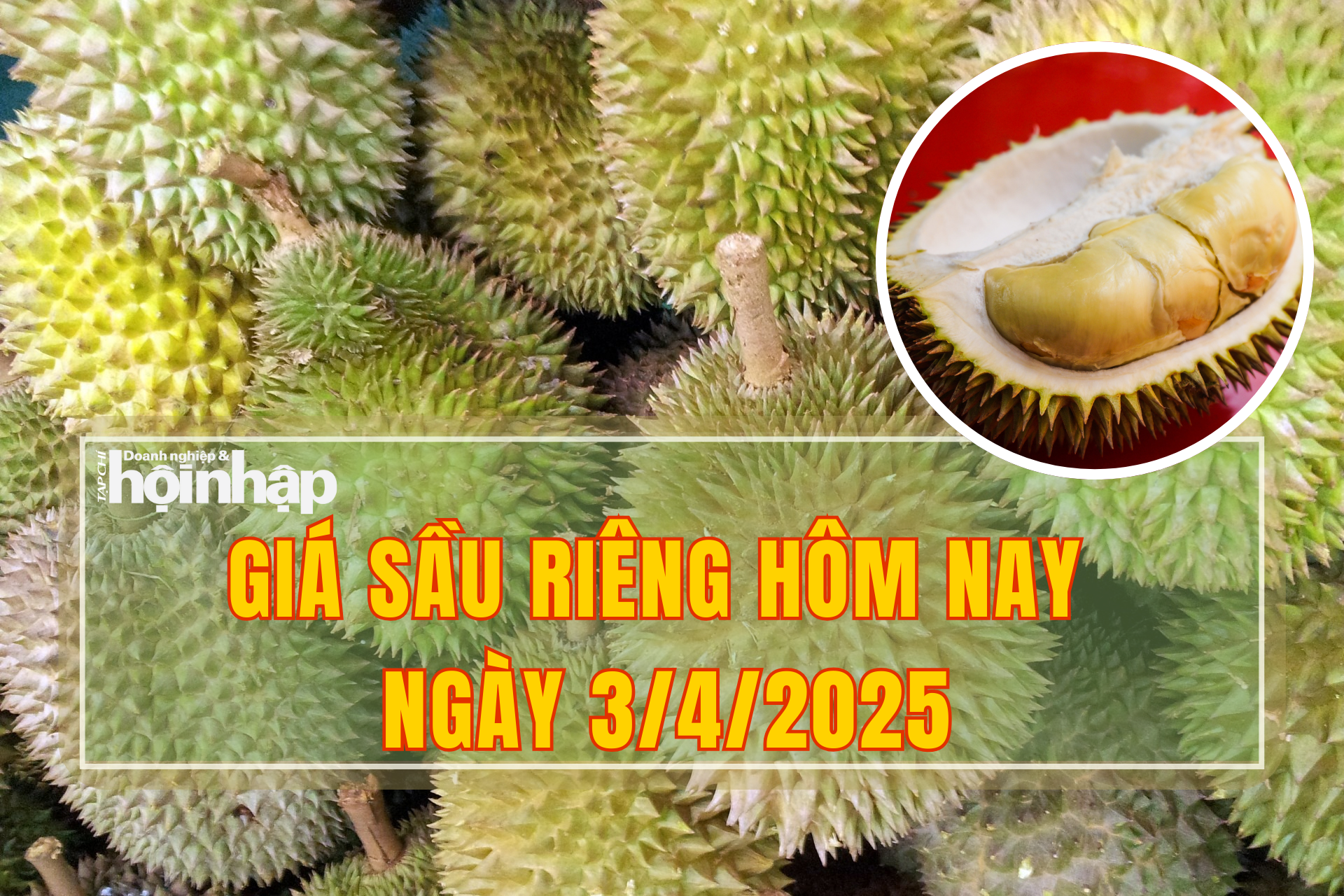Giá sầu riêng hôm nay 3/4: Sầu riêng tăng giá, thị trường giữ ở mức cao