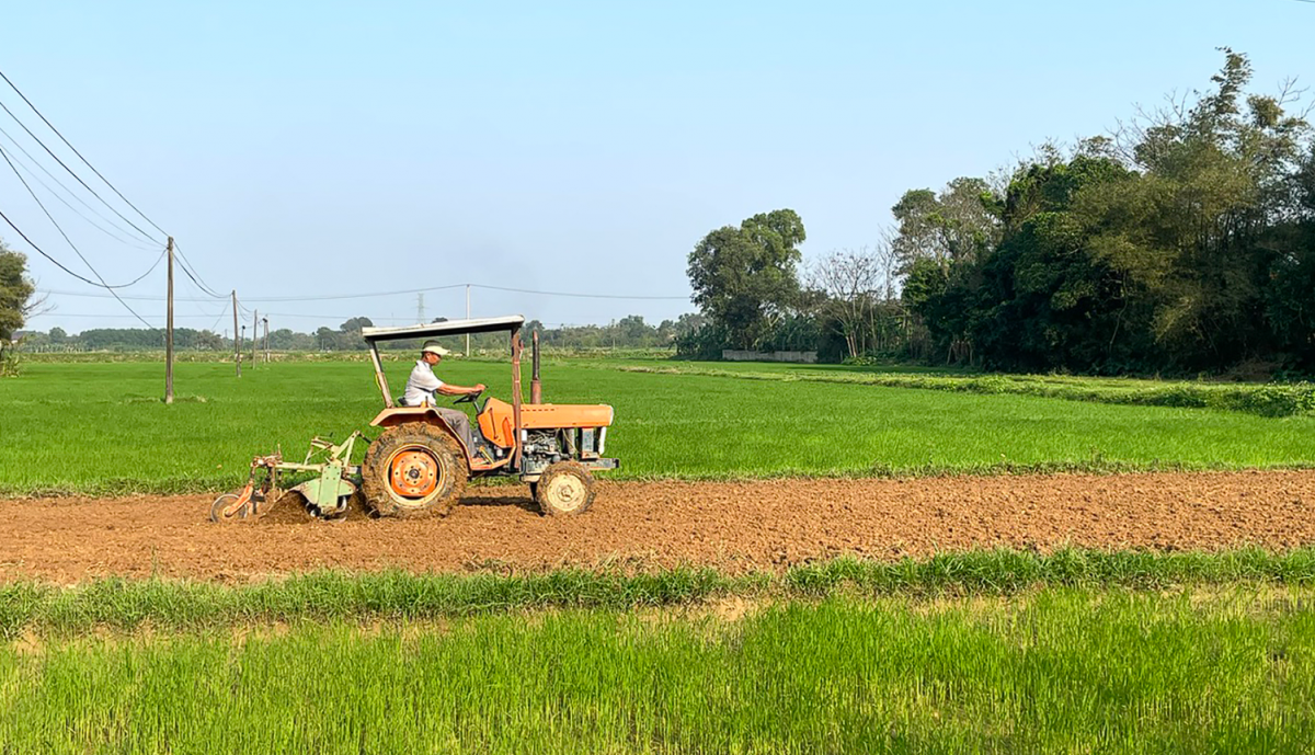 Quảng Trị: Phát triển nông nghiệp làm bệ phóng kinh tế Quảng Trị: Phát triển nông nghiệp làm bệ phóng kinh tế