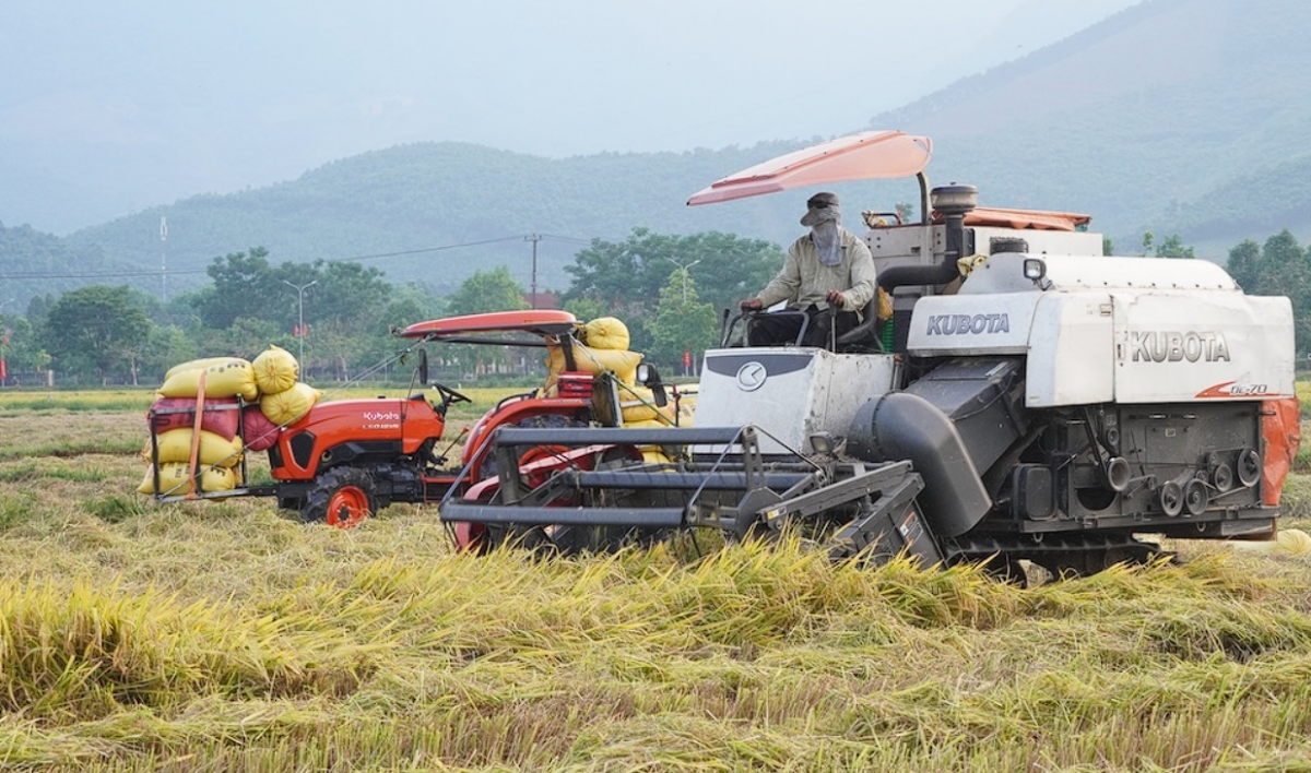 Tăng trưởng phát triển nông nghiệp gắn với bảo vệ môi trường tại TP. Huế