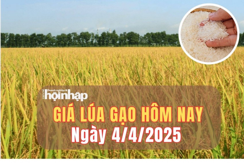giá lúa gạo
