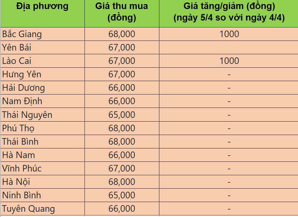 Bảng giá heo hơi tại miền Bắc hôm nay 5/4/2025.