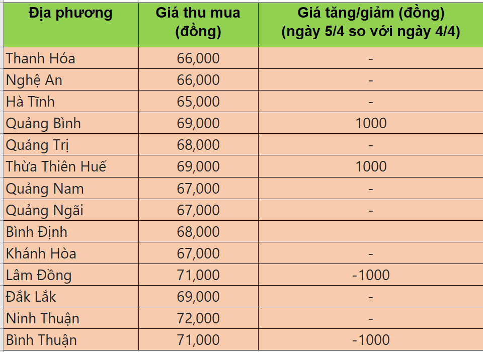 Bảng giá heo hơi tại miền Trung hôm nay 5/4/2025.
