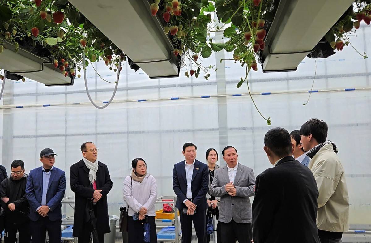 Long An: Đẩy mạnh nông nghiệp công nghệ cao và xúc tiến đầu tư tại thị trường Nhật Bản