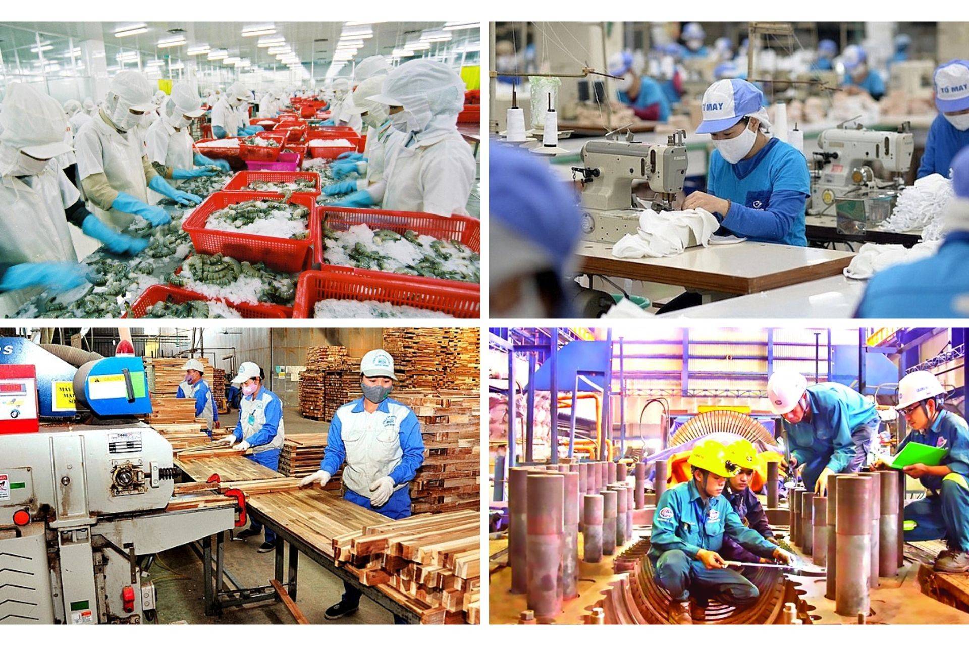 Giải pháp chiến lược đặc biệt để tạo đột phá phát triển kinh tế tư nhân trong kỷ nguyên mới của dân tộc