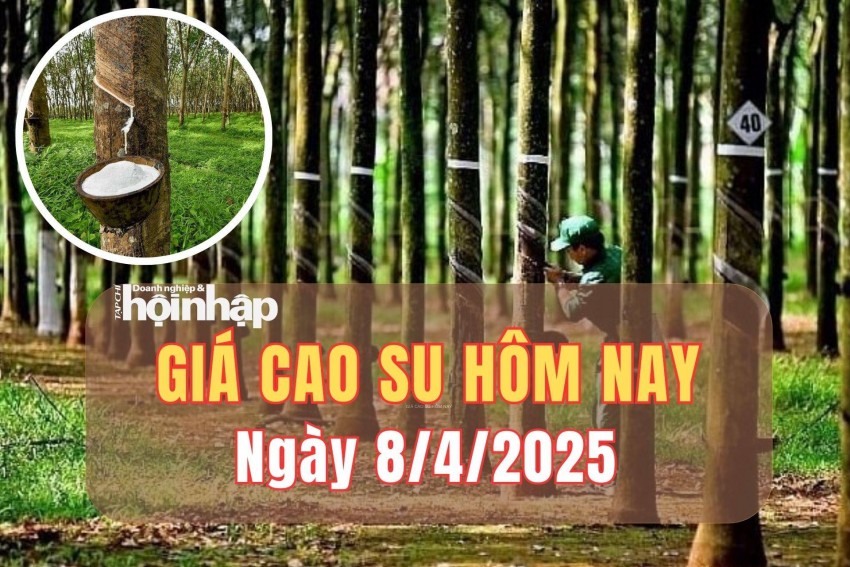 giá cao su giá cao su