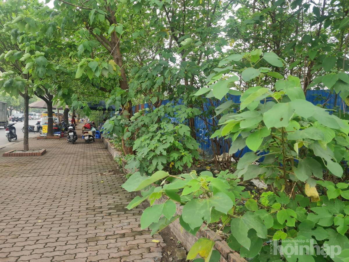 Bài VI: Dự án Công viên Tây Nam Hà Nội: Chậm tiến độ, lãng phí lớn nguồn lực đất đai