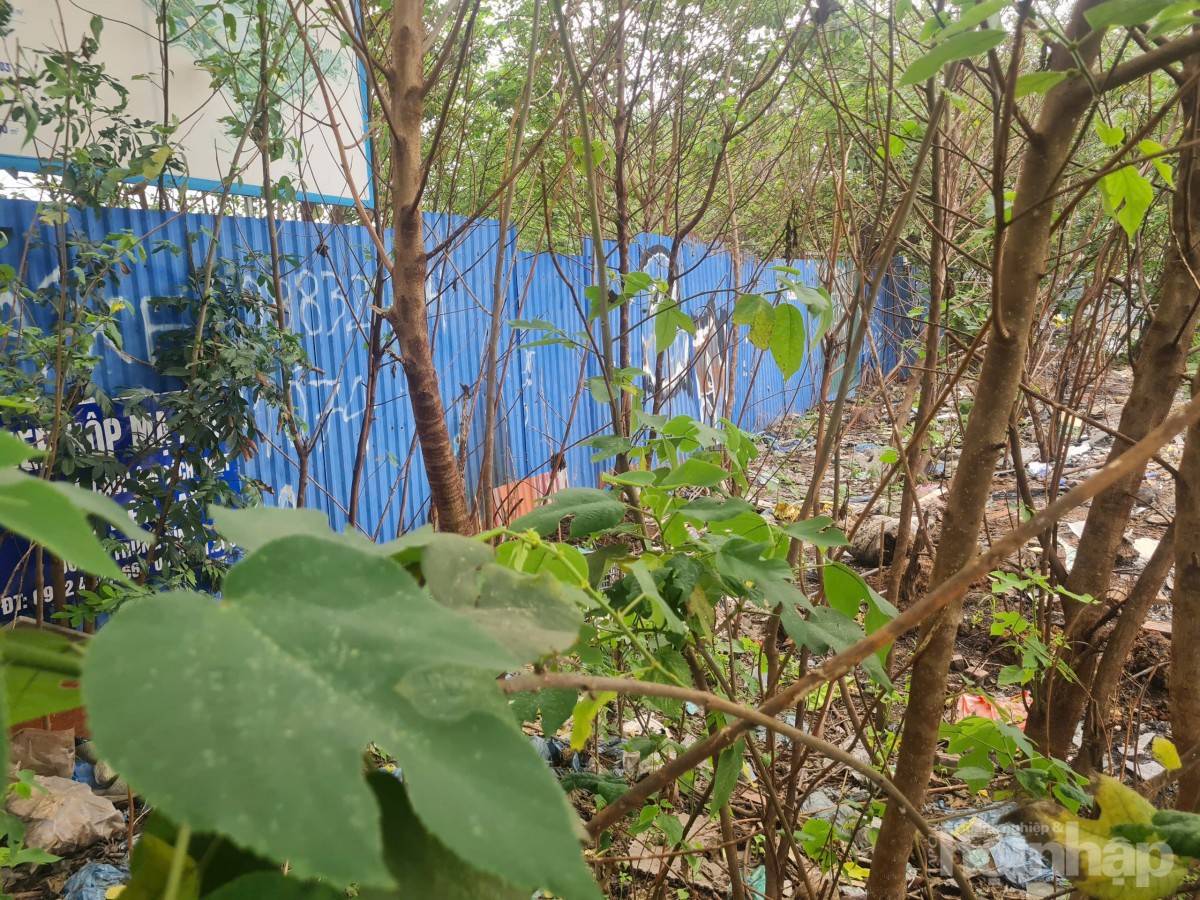 Bài VI: Dự án Công viên Tây Nam Hà Nội: Chậm tiến độ, lãng phí lớn nguồn lực đất đai