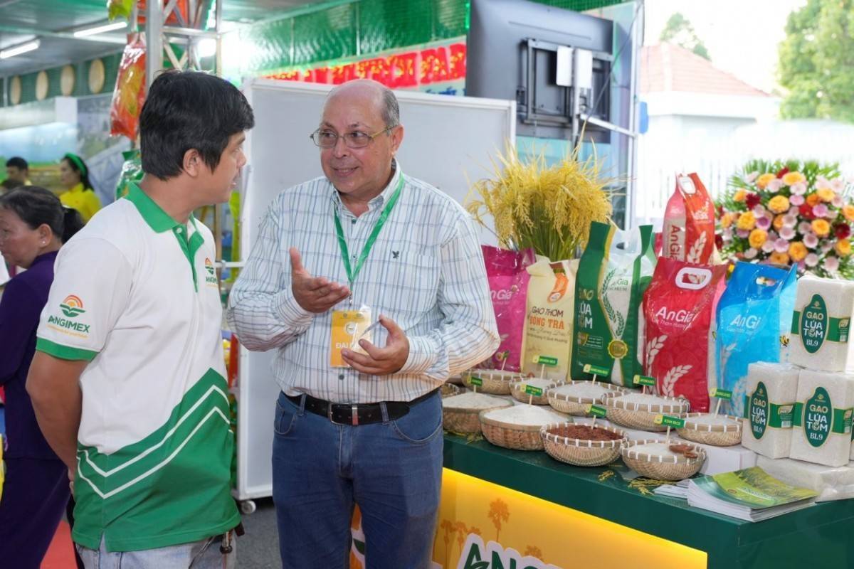Cổ phiếu AGM giảm sàn 5 phiên liên tiếp, Xuất nhập khẩu An Giang giải trình