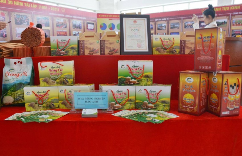 Lào Cai đặt mục tiêu có thêm ít nhất 30 sản phẩm OCOP từ 3 sao