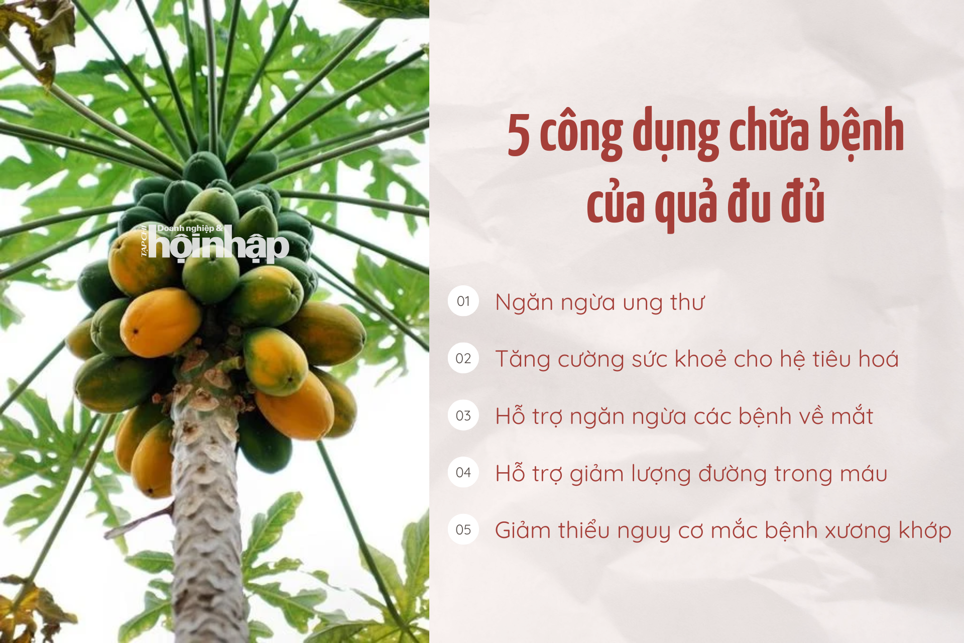 5 công dụng chữa bệnh của quả đu đủ