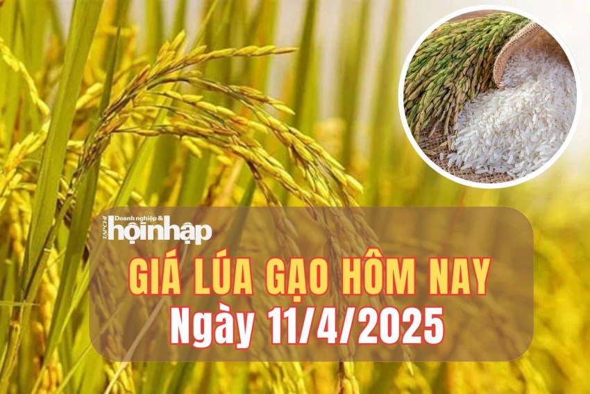 giá lúa gạo