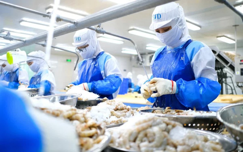 VASEP đề xuất 2 gói hỗ trợ cho doanh nghiệp thủy sản ứng phó biến động thuế quan VASEP đề xuất 2 gói hỗ trợ cho doanh nghiệp thủy sản ứng phó biến động thuế quan