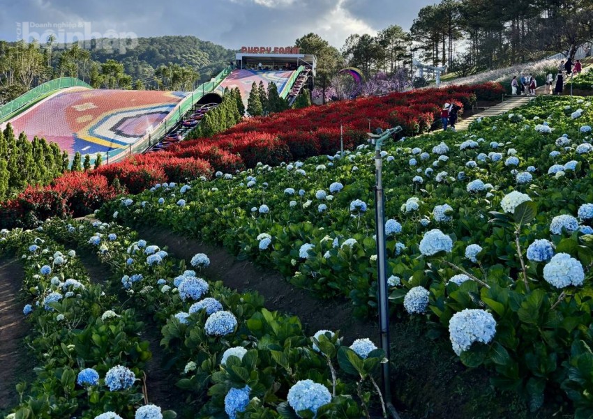  Đà Lạt vẫn là được nhiều người yêu thích bởi khí hậu mát mẻ, không gian lãng mạn.