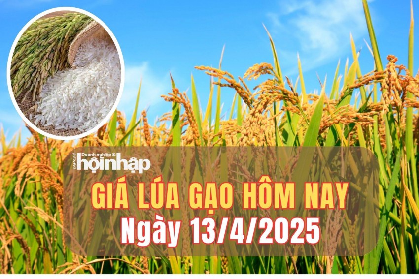 giá lúa gạo