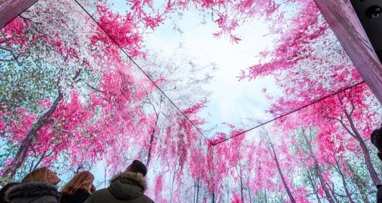 Trung tâm nghệ thuật lịch sử đổi mới với trí tuệ nhân tạo để duy trì vị thế toàn cầu