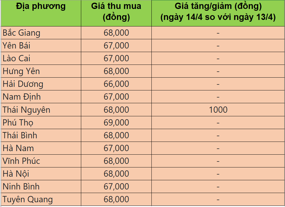 Giá heo hơi hôm nay 14/4/2025: Giá heo hơi tăng 1.000 đồng/kg tại một vài nơi trong phiên đầu tuần