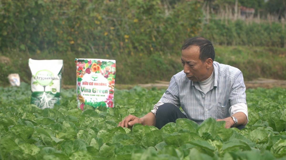 Tiến Nông - Tiên phong chuyển đổi sản xuất theo hướng nông nghiệp bền vững.