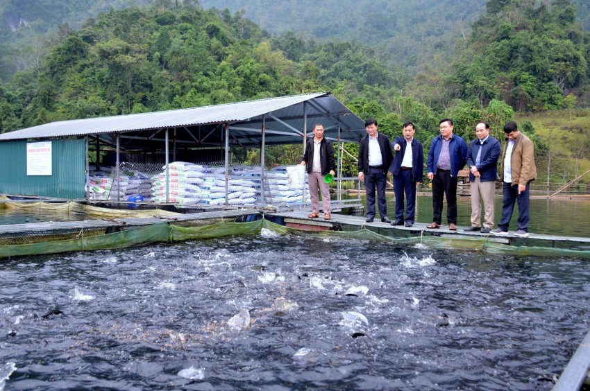 Ông Nguyễn Thế Giang - Phó Chủ tịch UBND tỉnh Tuyên Quang kiểm tra thực tế tại hộ gia đình anh Nguyễn Văn Tùng nuôi cá lồng tại xã Thượng Lâm, huyện Lâm Bình Tuyên Quang: Hiệu quả từ phát triển nuôi cá lồng trên sông, hồ góp phần thúc đẩy phát triển kinh tế - xã hội