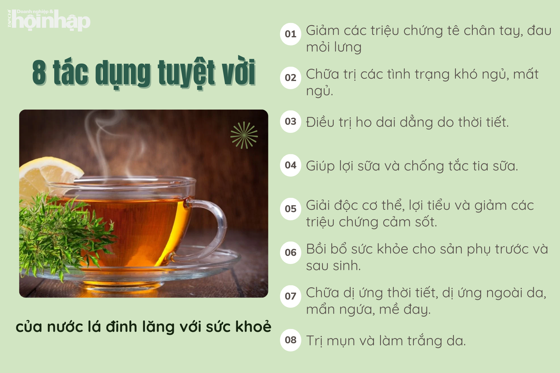 8 tác dụng tuyệt vời của nước lá đinh lăng đối với sức khoẻ