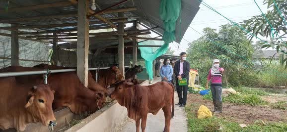 Cán bộ Ngân hàng Chính sách xã hội tỉnh Thái Bình kiểm tra việc sử dụng vốn của hộ vay tại huyện Vũ Thư.