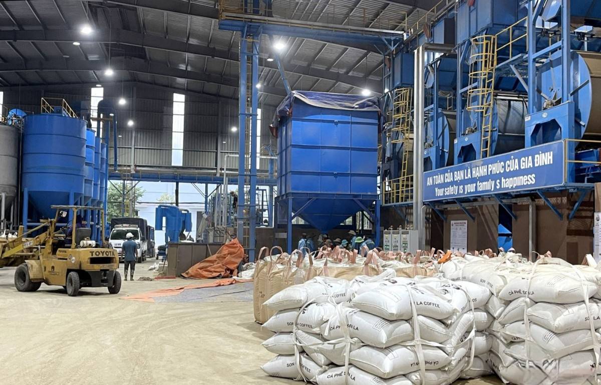 Phát triển bền vững cà phê Sơn La