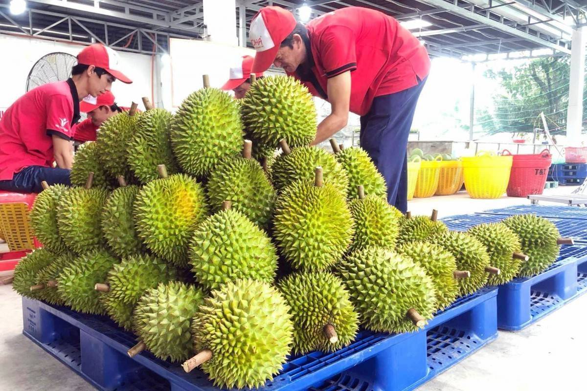 Việt Nam - Trung Quốc ra tuyên bố chung về thị trường xuất nhập khẩu nông sản