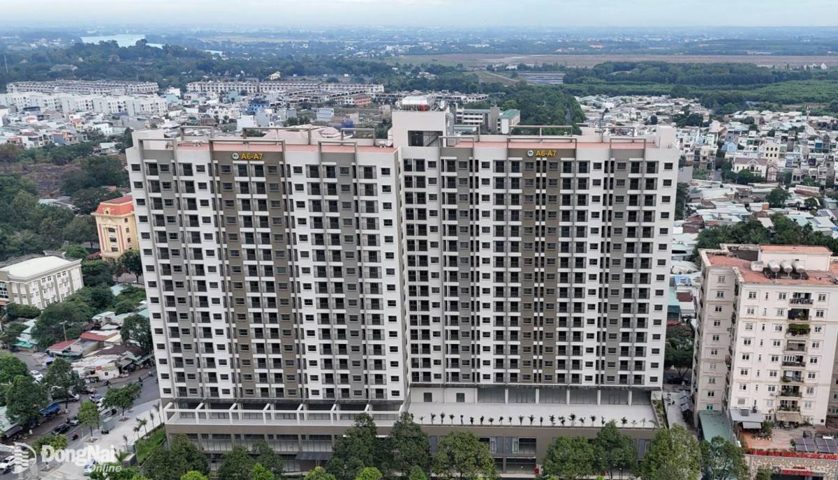 TS. Trương Anh Tuấn: Người trẻ cần được hỗ trợ mua nhà đúng cách