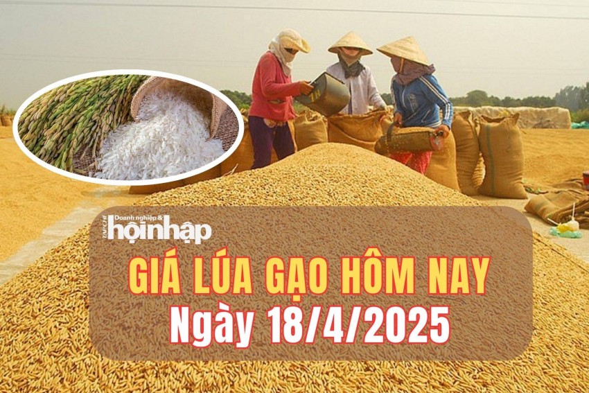 giá lúa gạo giá lúa gạo