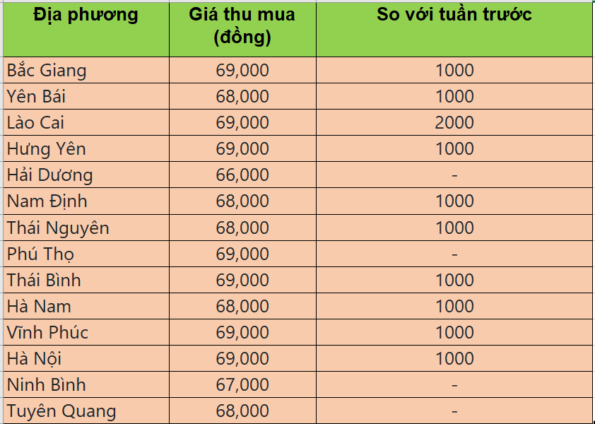 giá heo hơi giá heo hơi