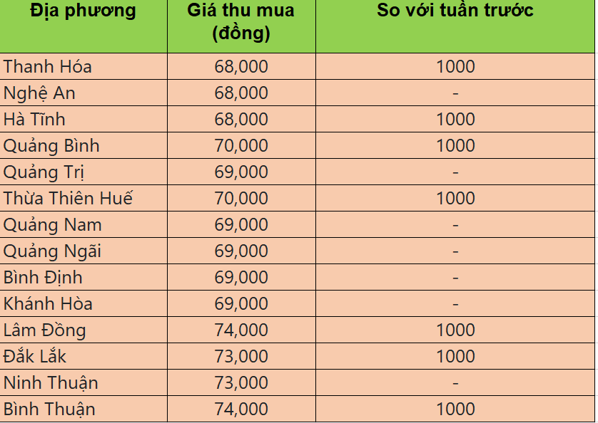 giá heo hơi giá heo hơi