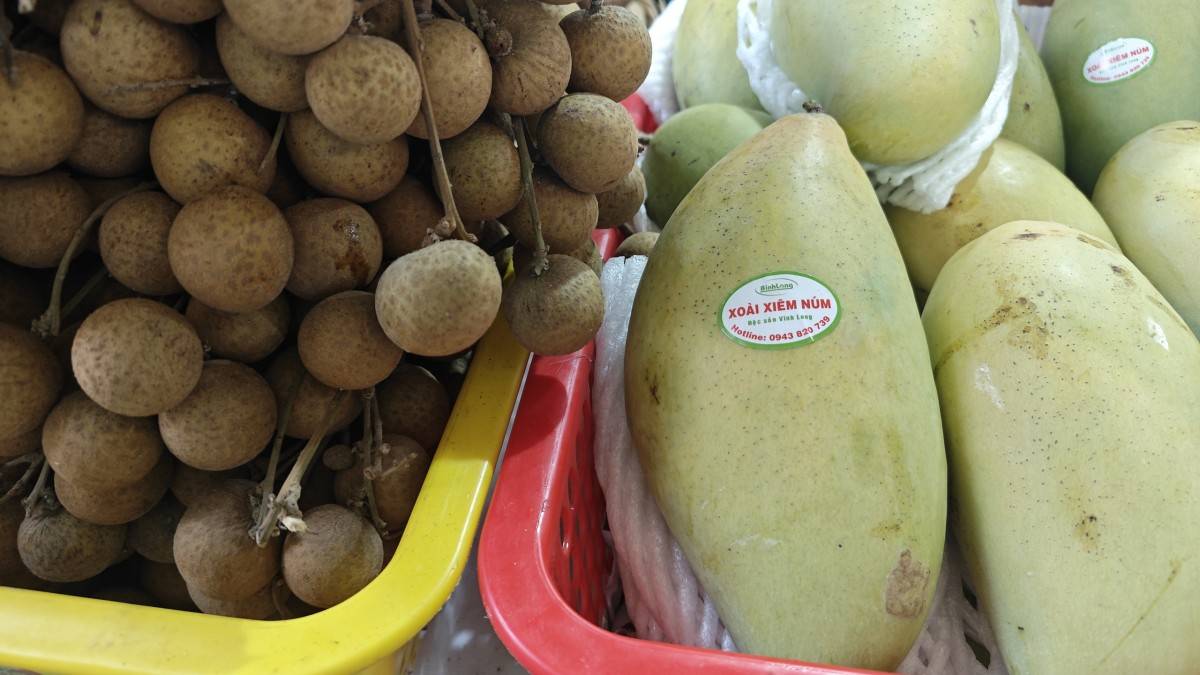 Giảng viên cao đẳng Việt vượt trăm cây số gánh đặc sản quê nhà lên phố Giảng viên cao đẳng Việt vượt trăm cây số gánh đặc sản quê nhà lên phố