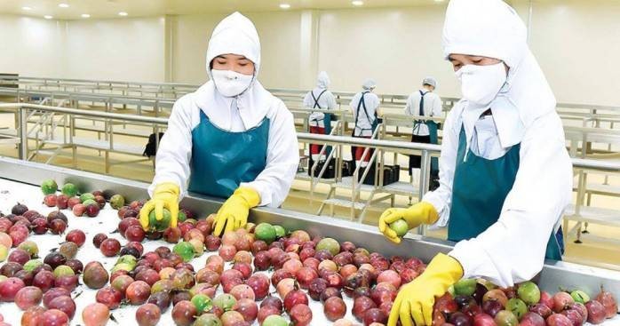 Xuất khẩu chanh leo khởi sắc khi thị trường Trung Quốc mở cửa thị trường