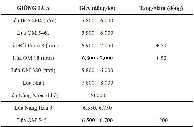 giá lúa gạo giá lúa gạo