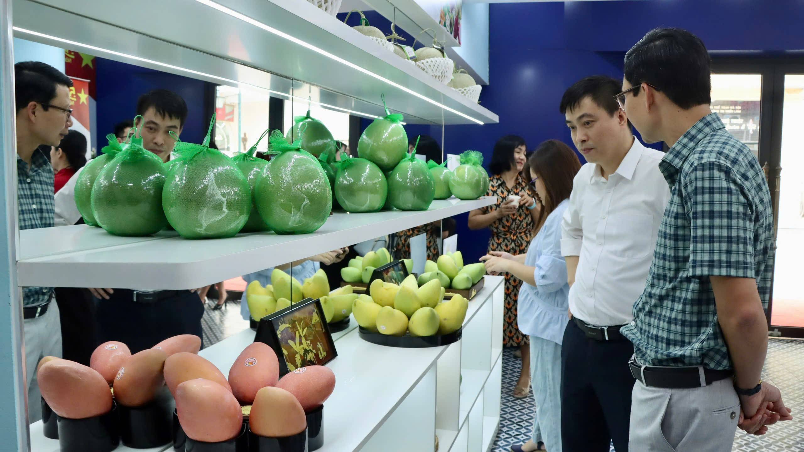 “Tinh hoa trái cây Việt”: Kết nối tiêu dùng trong nước, mở rộng thị trường toàn cầu